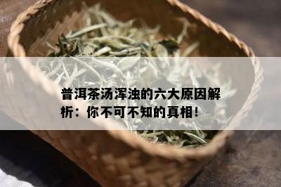 普洱茶汤浑浊的六大原因解析：你不可不知的真相！