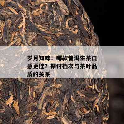 岁月知味：哪款普洱生茶口感更佳？探讨档次与茶叶品质的关系