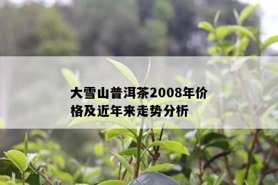 大雪山普洱茶2008年价格及近年来走势分析