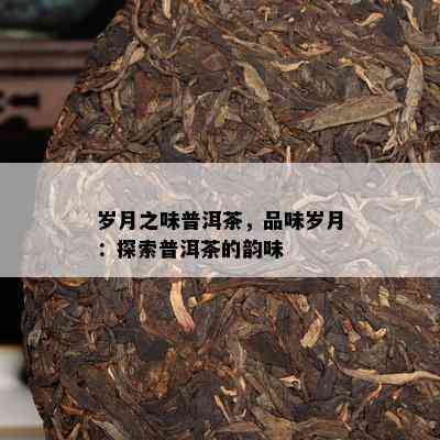 岁月之味普洱茶，品味岁月：探索普洱茶的韵味