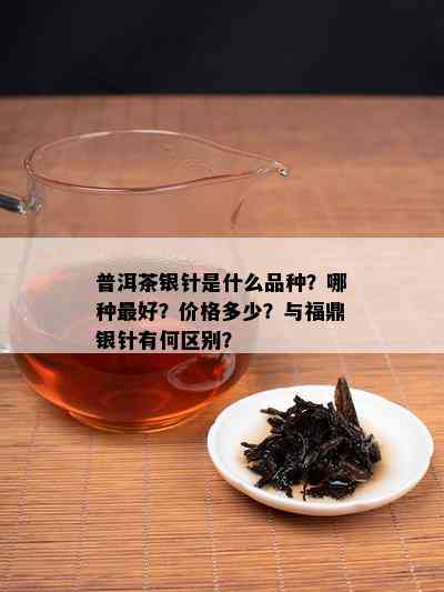 普洱茶银针是什么品种？哪种更好？价格多少？与福鼎银针有何区别？