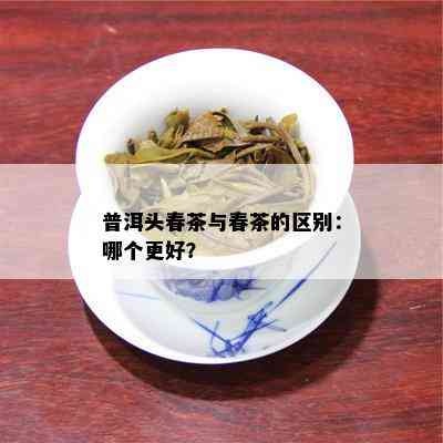 普洱头春茶与春茶的区别：哪个更好？