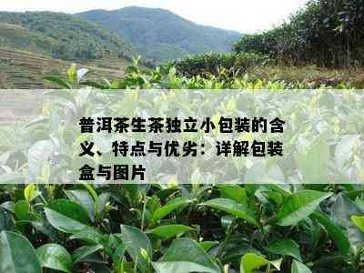 普洱茶生茶独立小包装的含义、特点与优劣：详解包装盒与图片