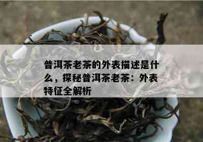 普洱茶老茶的外表描述是什么，探秘普洱茶老茶：外表特征全解析