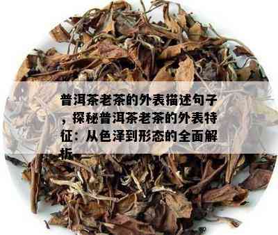 普洱茶老茶的外表描述句子，探秘普洱茶老茶的外表特征：从色泽到形态的全面解析