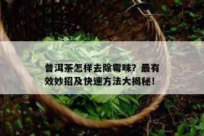 普洱茶怎样去除霉味？最有效妙招及快速方法大揭秘！