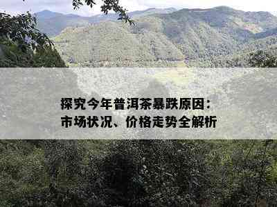 探究今年普洱茶暴跌原因：市场状况、价格走势全解析