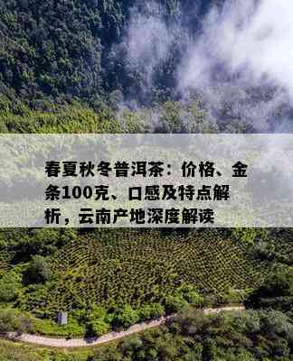 春夏秋冬普洱茶：价格、金条100克、口感及特点解析，云南产地深度解读