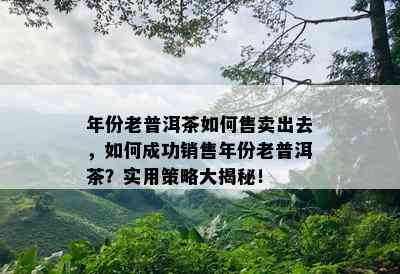 年份老普洱茶如何售卖出去，如何成功销售年份老普洱茶？实用策略大揭秘！