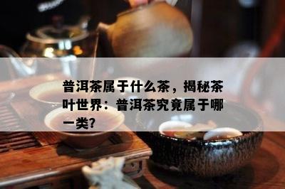 普洱茶属于什么茶，揭秘茶叶世界：普洱茶究竟属于哪一类？