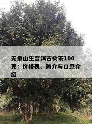 无量山生普洱古树茶100克：价格表、简介与口感介绍