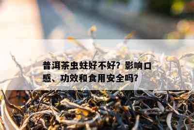 普洱茶虫蛀好不好？影响口感、功效和食用安全吗？