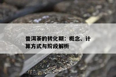 普洱茶的转化期：概念、计算方式与阶段解析