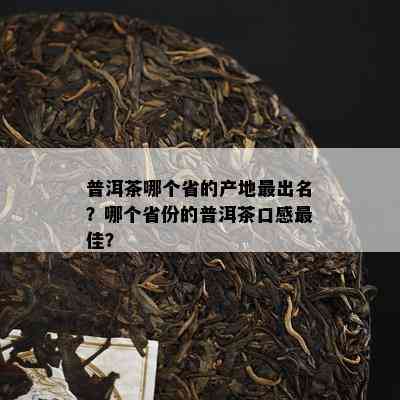 普洱茶哪个省的产地最出名？哪个省份的普洱茶口感更佳？