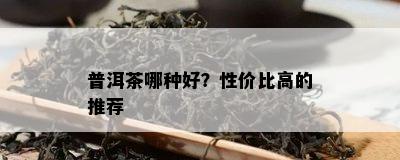 普洱茶哪种好？性价比高的推荐