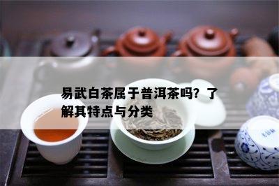 易武白茶属于普洱茶吗？了解其特点与分类