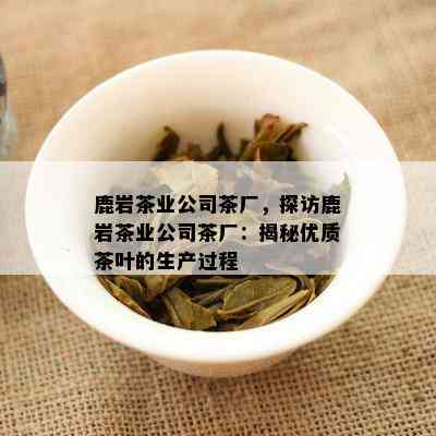 鹿岩茶业公司茶厂，探访鹿岩茶业公司茶厂：揭秘优质茶叶的生产过程