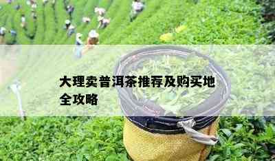 大理卖普洱茶推荐及购买地全攻略