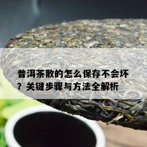 普洱茶散的怎么保存不会坏？关键步骤与方法全解析