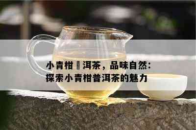 小青柑潽洱茶，品味自然：探索小青柑普洱茶的魅力