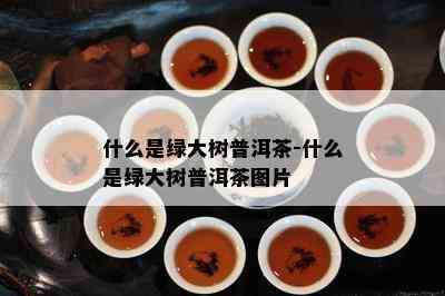 什么是绿大树普洱茶-什么是绿大树普洱茶图片