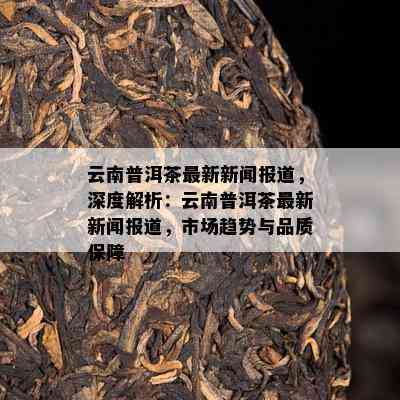 云南普洱茶最新新闻报道，深度解析：云南普洱茶最新新闻报道，市场趋势与品质保障