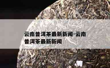 云南普洱茶最新新闻-云南普洱茶最新新闻