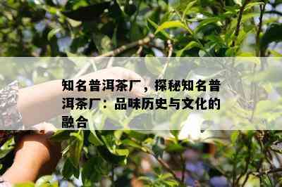 知名普洱茶厂，探秘知名普洱茶厂：品味历史与文化的融合