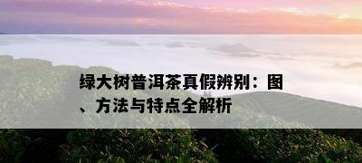 绿大树普洱茶真假辨别：图、方法与特点全解析