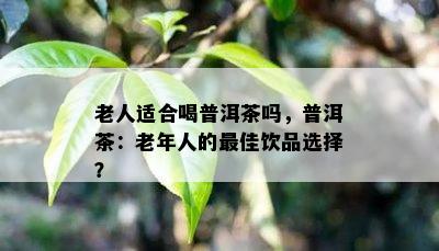 老人适合喝普洱茶吗，普洱茶：老年人的更佳饮品选择？