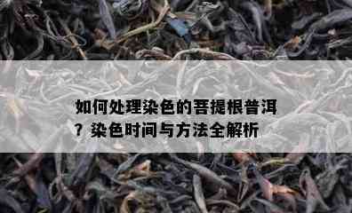 如何处理染色的菩提根普洱？染色时间与方法全解析