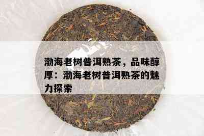 渤海老树普洱熟茶，品味醇厚：渤海老树普洱熟茶的魅力探索