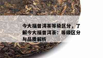 今大福普洱茶等级区分，了解今大福普洱茶：等级区分与品质解析