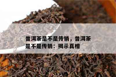 普洱茶是不是传销，普洱茶是不是传销：揭示真相