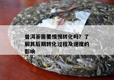 普洱茶需要慢慢转化吗？了解其后期转化过程及速度的影响