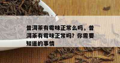 普洱茶有霉味正常么吗，普洱茶有霉味正常吗？你需要知道的事情