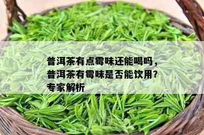 普洱茶有点霉味还能喝吗，普洱茶有霉味是否能饮用？专家解析