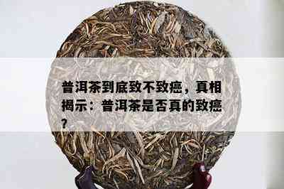 普洱茶到底致不致癌，真相揭示：普洱茶是否真的致癌？