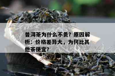 普洱茶为什么不贵？原因解析：价格差异大，为何比其他茶便宜？