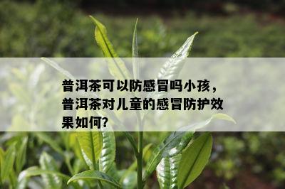 普洱茶可以防感冒吗小孩，普洱茶对儿童的感冒防护效果如何？