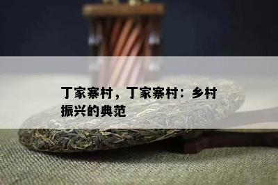 丁家寨村，丁家寨村：乡村振兴的典范