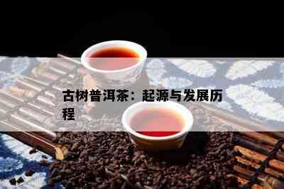 古树普洱茶：起源与发展历程