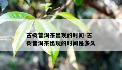 古树普洱茶出现的时间-古树普洱茶出现的时间是多久