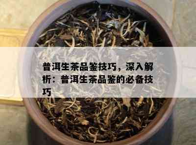 普洱生茶品鉴技巧，深入解析：普洱生茶品鉴的必备技巧