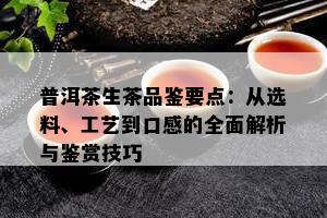 普洱茶生茶品鉴要点：从选料、工艺到口感的全面解析与鉴赏技巧