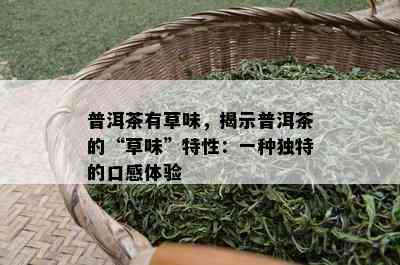 普洱茶有草味，揭示普洱茶的“草味”特性：一种独特的口感体验