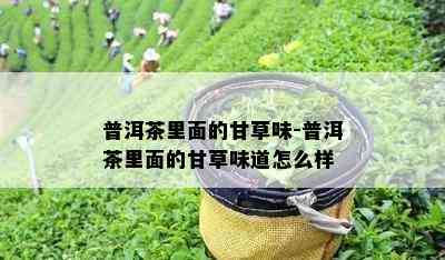 普洱茶里面的甘草味-普洱茶里面的甘草味道怎么样