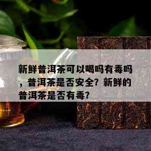 新鲜普洱茶可以喝吗有吗，普洱茶是否安全？新鲜的普洱茶是否有？