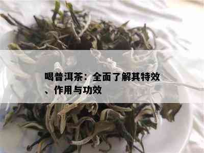 喝普洱茶：全面了解其特效、作用与功效