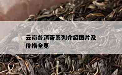 云南普洱茶系列介绍图片及价格全览